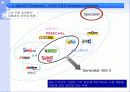 인터넷 쇼핑몰의 마케팅 전략 10페이지