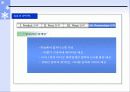 인터넷 쇼핑몰의 마케팅 전략 17페이지