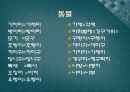 강원도의 방언과 표준어 - 초등5년 과제물 3페이지