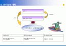 (주)신영정보기술_제약업제안서 9페이지