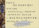 [광고제안서] 라거 맥주 12페이지