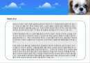  (크린펫 애견 토일렛) 애견배변판 사업계획서 2페이지