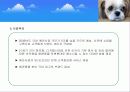  (크린펫 애견 토일렛) 애견배변판 사업계획서 5페이지