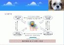  (크린펫 애견 토일렛) 애견배변판 사업계획서 6페이지