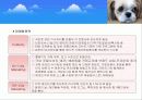  (크린펫 애견 토일렛) 애견배변판 사업계획서 7페이지