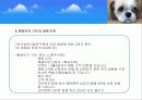  (크린펫 애견 토일렛) 애견배변판 사업계획서 10페이지