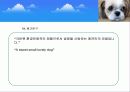  (크린펫 애견 토일렛) 애견배변판 사업계획서 12페이지