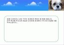  (크린펫 애견 토일렛) 애견배변판 사업계획서 13페이지