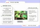 왕귀뚜라미의 자원화 이용을 위한 연구 7페이지