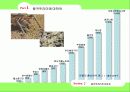 왕귀뚜라미의 자원화 이용을 위한 연구 11페이지