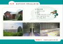 왕귀뚜라미의 자원화 이용을 위한 연구 19페이지