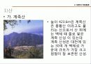 대전관광지 소개 및 관광상품  10페이지