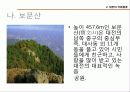 대전관광지 소개 및 관광상품  11페이지