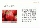 대전관광지 소개 및 관광상품  22페이지