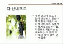 대전관광지 소개 및 관광상품  23페이지
