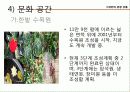 대전관광지 소개 및 관광상품  24페이지
