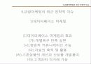 [관광] 여행사 마케팅 10페이지