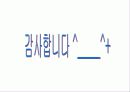 [관광] 여행사 마케팅 13페이지
