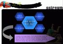 스포츠마케팅-씨름 활성화위한 마케팅전략 4페이지