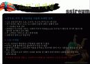 스포츠마케팅-씨름 활성화위한 마케팅전략 16페이지