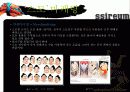 스포츠마케팅-씨름 활성화위한 마케팅전략 17페이지