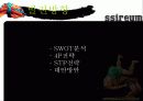 스포츠마케팅-씨름 활성화위한 마케팅전략 19페이지