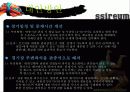 스포츠마케팅-씨름 활성화위한 마케팅전략 25페이지