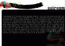 스포츠마케팅-씨름 활성화위한 마케팅전략 27페이지