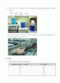 Non-Ideal Reactor Behavior(결과 Report) 4페이지