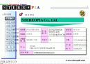 입체컨텐츠제작 스테레오피아 3페이지