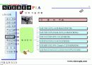 입체컨텐츠제작 스테레오피아 11페이지