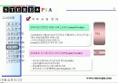 입체컨텐츠제작 스테레오피아 31페이지