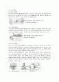 정밀 입자 가공의 종류와 특징 11페이지