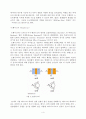 CUBLOC #2 7페이지