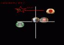 할리스 HOLLYS 커피 경영전략 마케팅기획서 13페이지