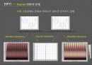 WAVELET TOOL BOX 14장 6페이지