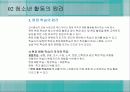 청소년_활동-chapter2-청소년 활동의 원리 9페이지