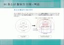청소년_활동-chapter7-청소년 활동시설 4페이지