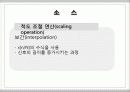 컴응제발표 13페이지