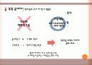 참이슬의 소셜네트워크 SNS 트위터를통한 마케팅사례전략 11페이지