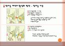 참이슬의 소셜네트워크 SNS 트위터를통한 마케팅사례전략 17페이지
