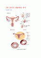 (조선대, 안영준)2012년 2011년 여름 및 겨울 지구에서 만나 살아가는 남자와 여자 총정리 및 중간고사  기말고사 6페이지