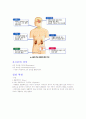 (조선대, 안영준)2012년 2011년 여름 및 겨울 지구에서 만나 살아가는 남자와 여자 총정리 및 중간고사  기말고사 8페이지