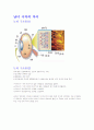 (조선대, 안영준)2012년 2011년 여름 및 겨울 지구에서 만나 살아가는 남자와 여자 총정리 및 중간고사  기말고사 10페이지