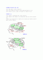 (조선대, 안영준)2012년 2011년 여름 및 겨울 지구에서 만나 살아가는 남자와 여자 총정리 및 중간고사  기말고사 17페이지
