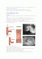 (조선대, 안영준)2012년 2011년 여름 및 겨울 지구에서 만나 살아가는 남자와 여자 총정리 및 중간고사  기말고사 65페이지