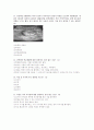 (조선대, 안영준)2012년 2011년 여름 및 겨울 지구에서 만나 살아가는 남자와 여자 총정리 및 중간고사  기말고사 93페이지