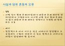 언어의 문법적 오류들(무한성의 오류 일반의 오류 등) 5페이지