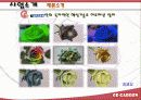 가상마케팅 11페이지