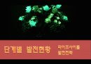 가상마케팅 31페이지